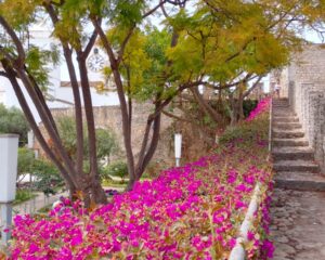 Castelo de Tavira com Torre do Relógio ao fundo. Foto: ViniRoger