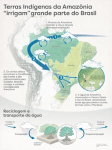 Funcionamento dos rios voadores. Fonte: Instituto Serrapilheira