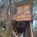 Casa na árvore no Alentejo (Portugal) que segue a arquitetura earthship. Foto: ViniRoger