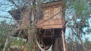 Casa na árvore no Alentejo (Portugal) que segue a arquitetura earthship. Foto: ViniRoger