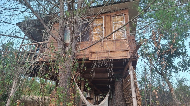 Casa na árvore no Alentejo (Portugal) que segue a arquitetura earthship. Foto: ViniRoger