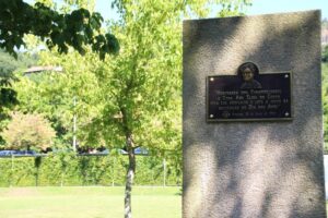 Placa em Penafiel: "Homenagem dos Penafidelenses a Dona Ana Elisa do Couto pela sua dedicação e luta a favor da instituição do Dia dos Avós". Fonte: Verdadeiro Olhar
