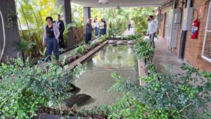Parte do jardim suspenso do Edifício Matarazzo, com lago de carpas em destaque. Foto: ViniRoger