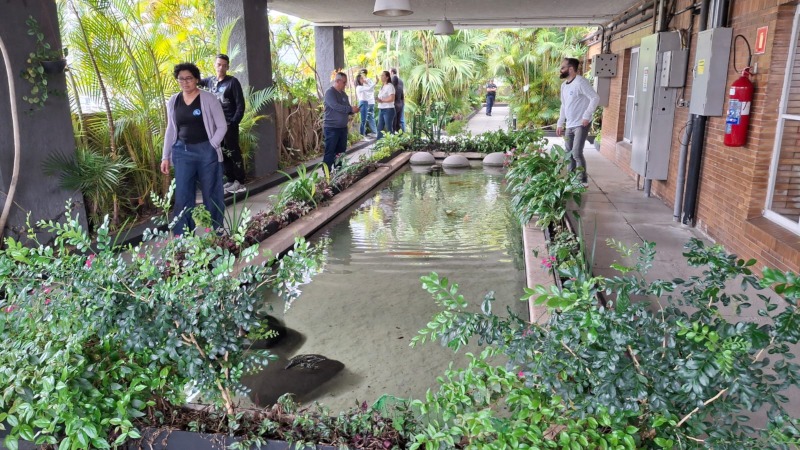 Parte do jardim suspenso do Edifício Matarazzo, com lago de carpas em destaque. Foto: ViniRoger