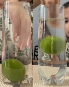 Experiência de tirar o limão da garrafa sem derramar a água. Fonte: Elaine Melissa