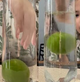 Experiência de tirar o limão da garrafa sem derramar a água. Fonte: Elaine Melissa