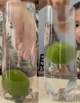 Experiência de tirar o limão da garrafa sem derramar a água. Fonte: Elaine Melissa