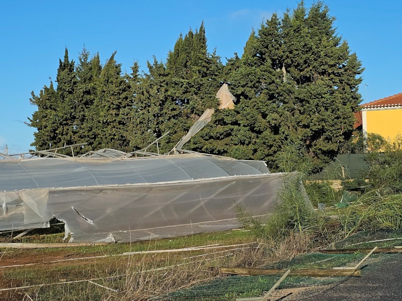 Danos em propriedade em Lagos devido aos ventos fortes de 15/11/2025. Fonte: Meteofontes