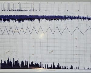 Anemograma de 10/12/2025. Fonte: Estação Meteorológica Prof Paulo Marques dos Santos EM14-IAG-USP (CCBY)