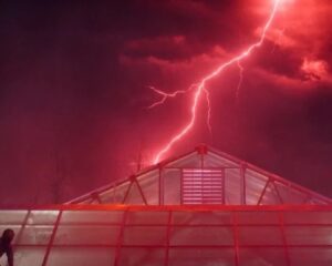 Eleven depois do salto, em um teto de vidro no bunker. Fonte: divulgação