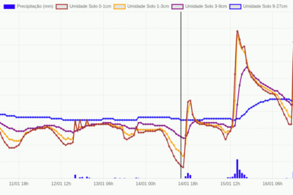Valores de precipitação e de umidade do solo em diferentes profundidades