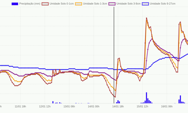 Valores de precipitação e de umidade do solo em diferentes profundidades