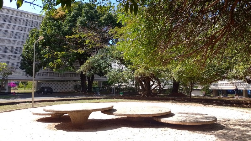 Cogumelos e Bloco D ao fundo (fachada com cogogós). Foto: ViniRoger