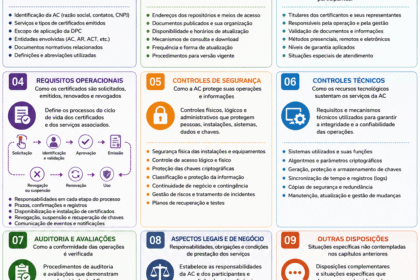 Resumo visual da DOC-ICP-05. Fonte: ViniRoger via chatGPT