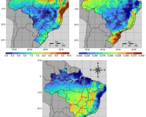 Mapas do Brasil mostrando os valores médios de DARR (à esquerda) e Ceff (à direita) e CPD (abaixo) para o período de 2020–2024